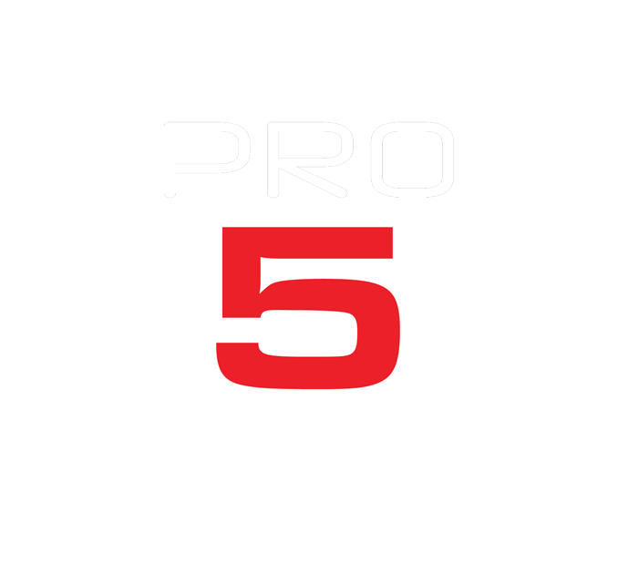 Pro Networking Logo